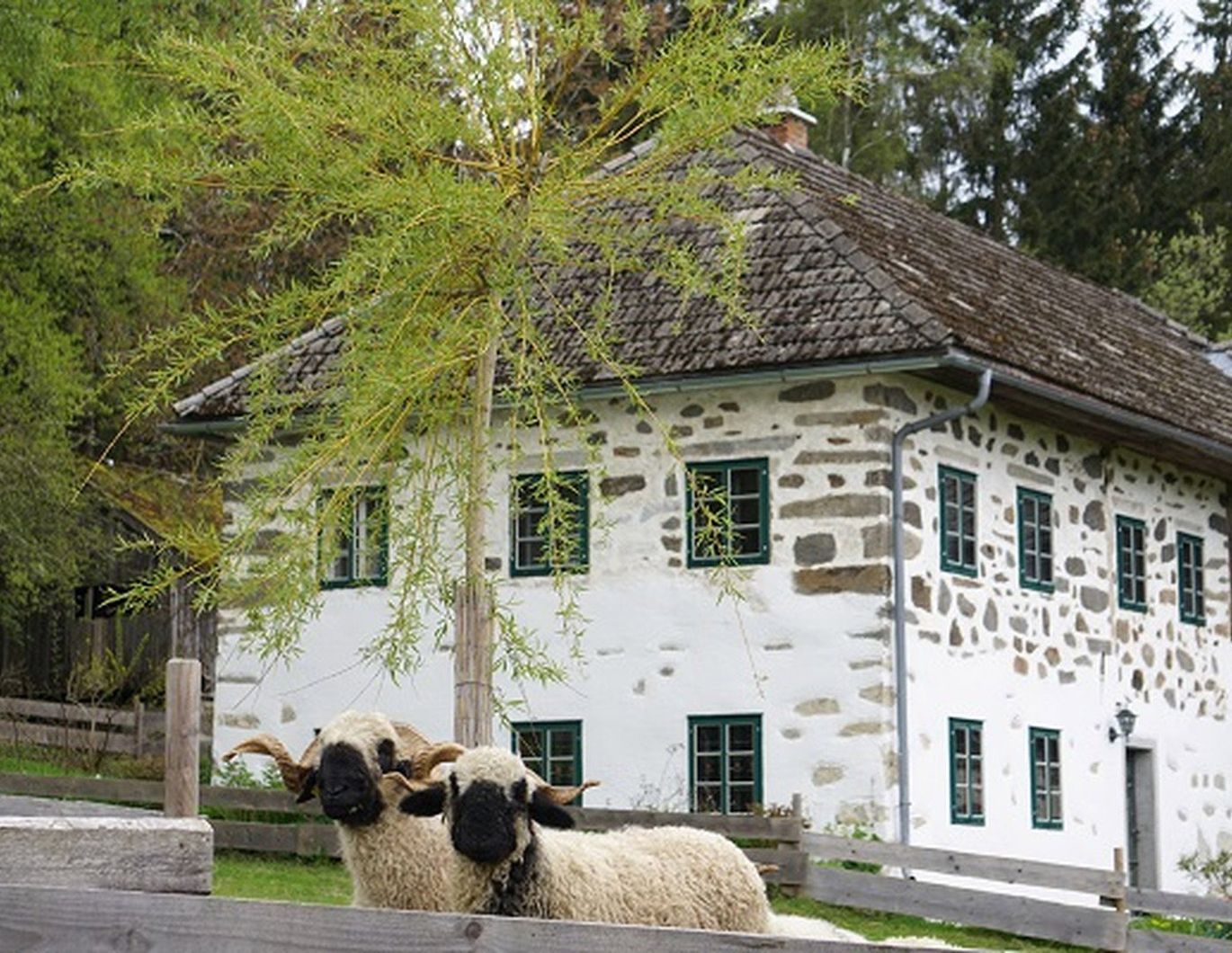 Traditioneller Mühlviertler Stoabloßhof in Idyllischer Ruhelage - Oberhalb der Nebelgrenze – Bild 1 von 5